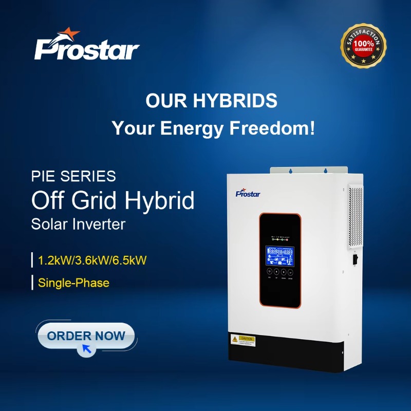 【2026】3.6kw 12V 24V 48V Pure S – обзор и цена Renewable Energy Grid